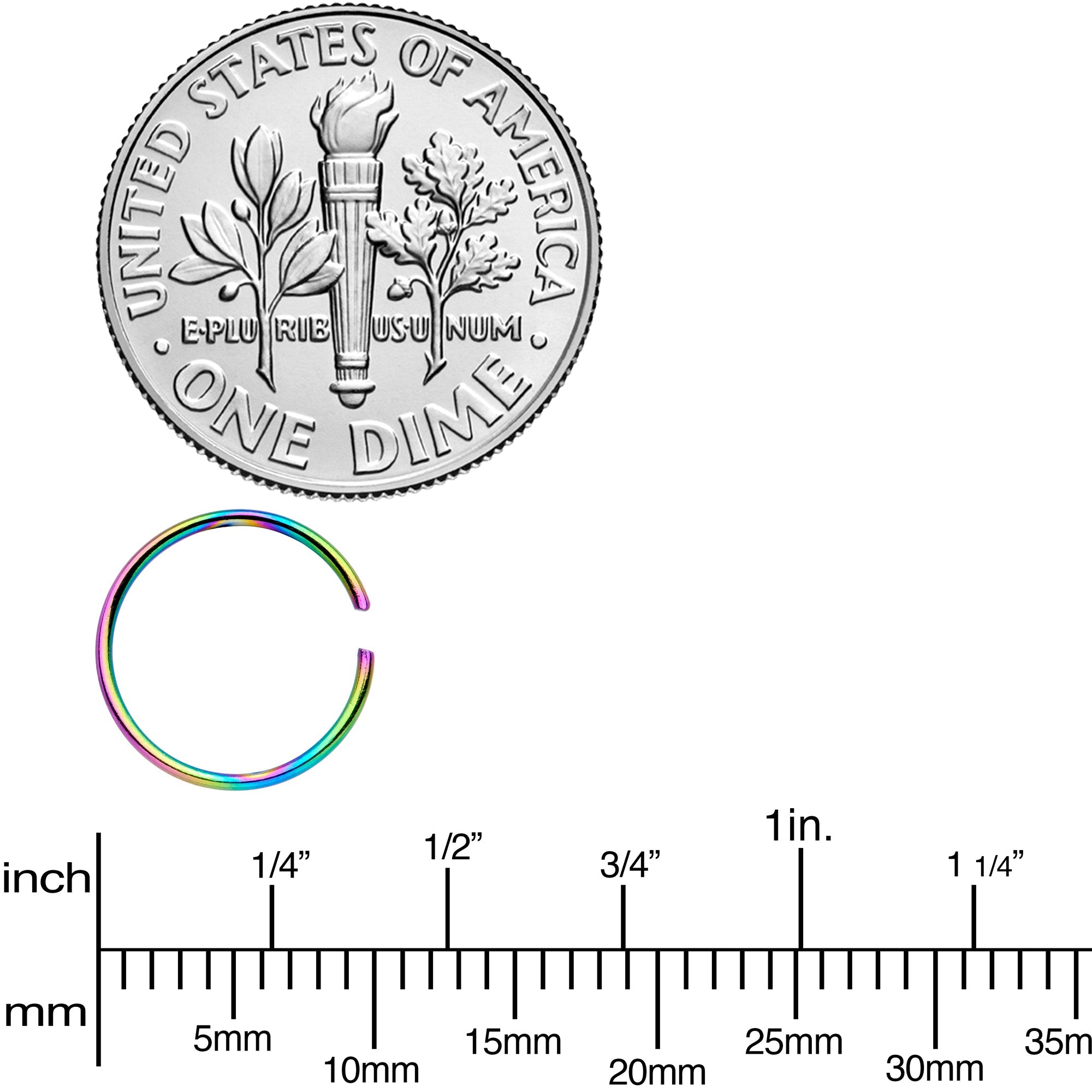 22G 5/16 Rainbow Anodized Seamless Nose Hoop Set of 12