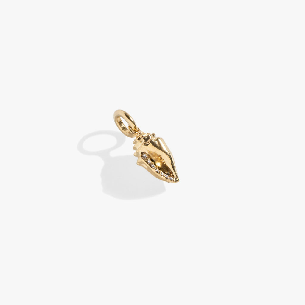 Conch Shell Interchangeable Charm